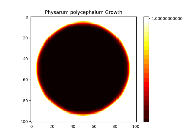 physarum.png